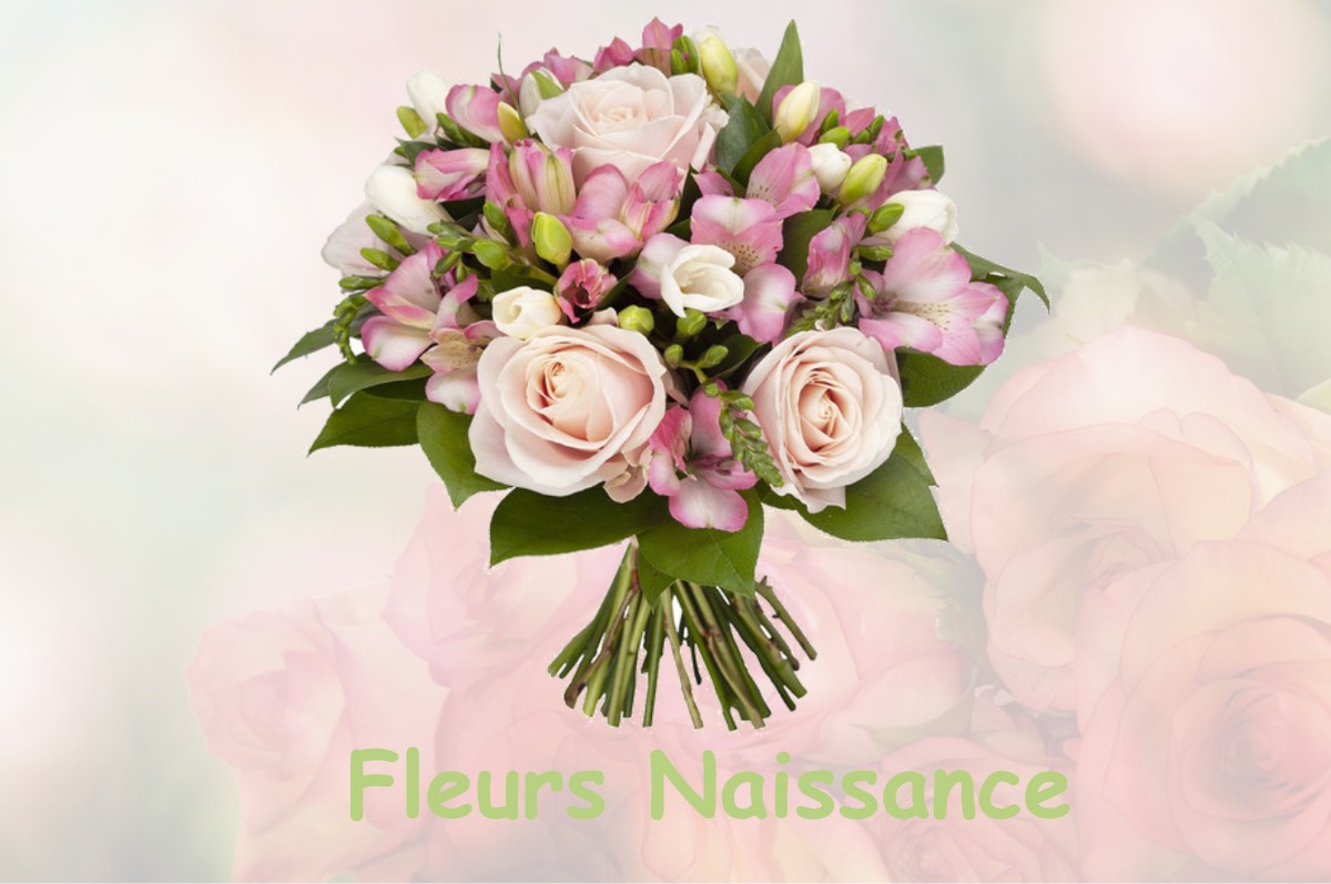 fleurs naissance CHAUMONT-SUR-AIRE