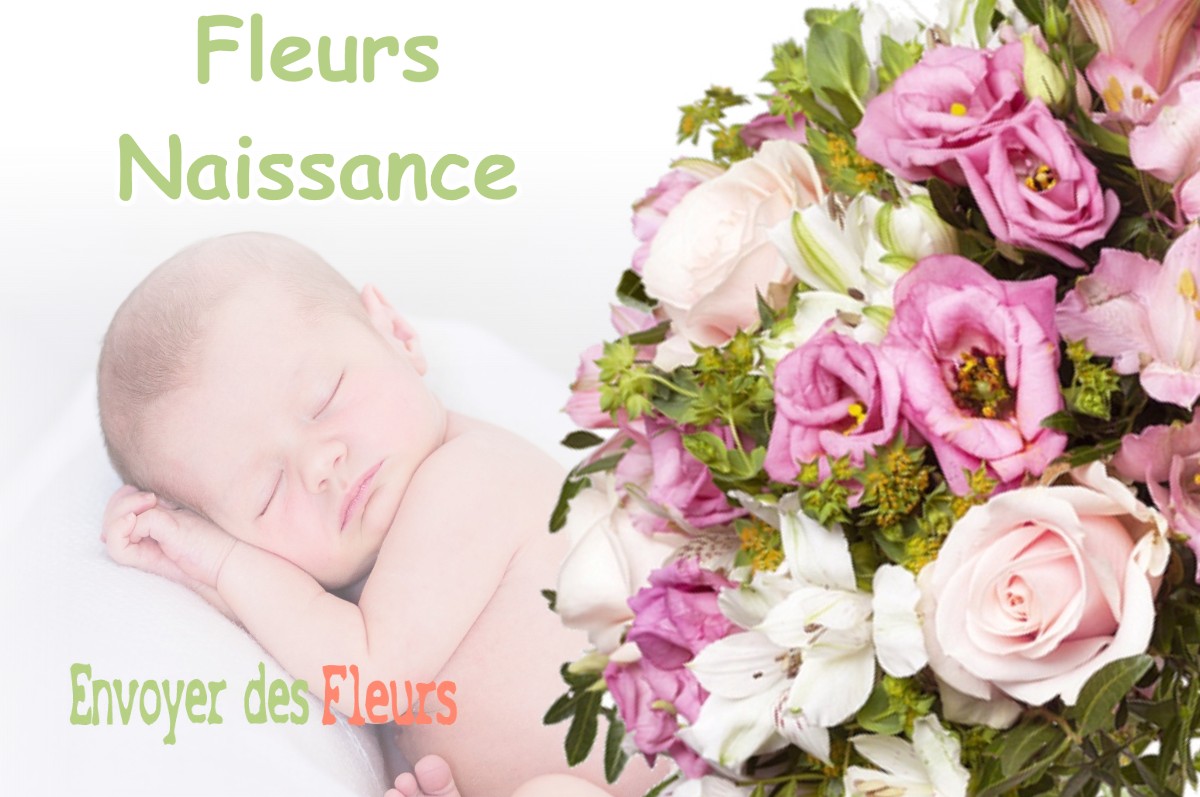 lIVRAISON FLEURS NAISSANCE à CHAUMONT-SUR-AIRE